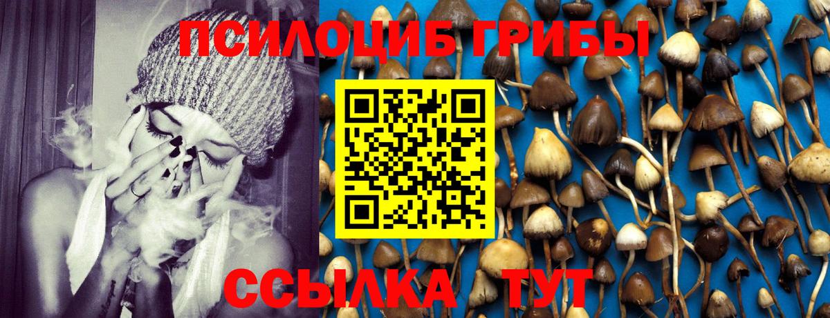 Галлюциногенные грибы Cubensis Магадан